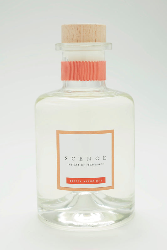 BREZZA ARANCIONE【オレンジの風】