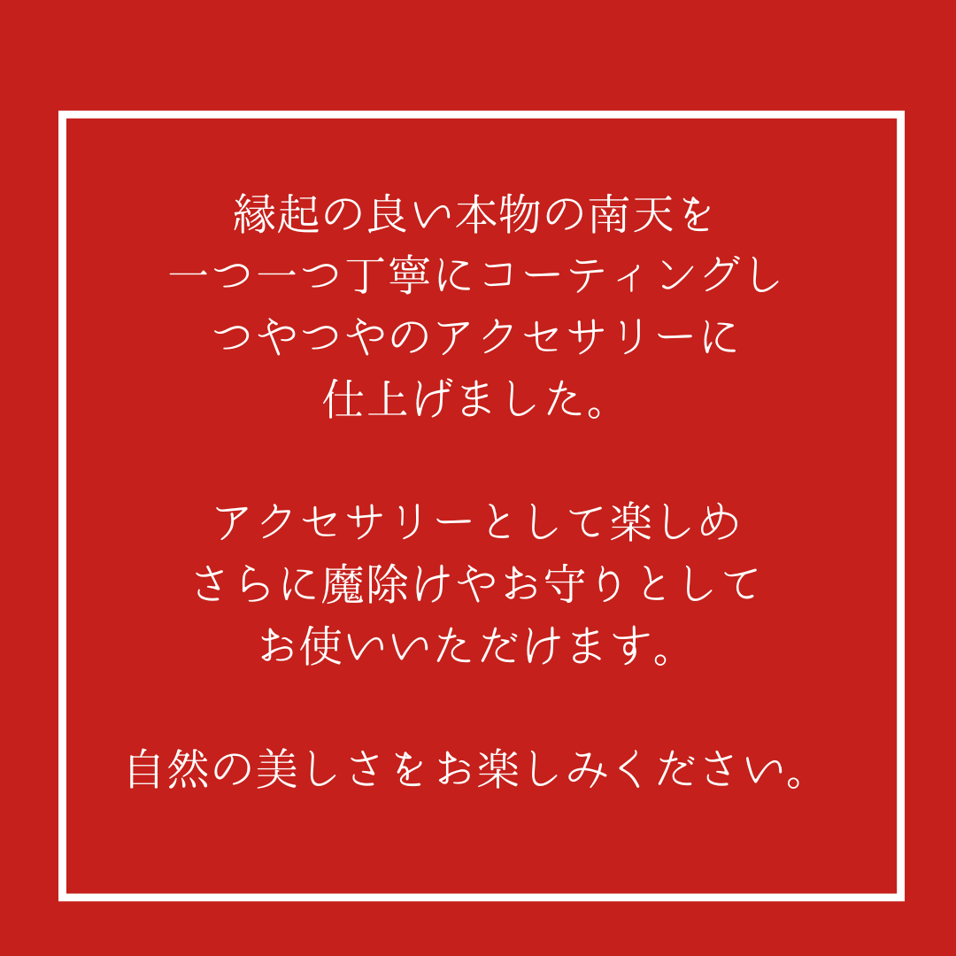本物の郡上南天を閉じ込めたピアスA