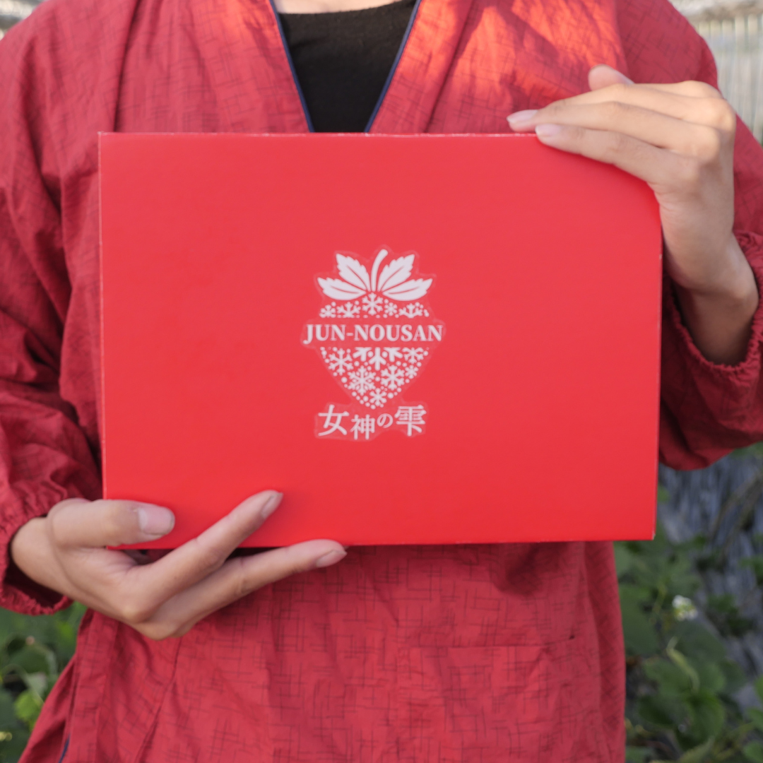 女神の雫-レギュラー-