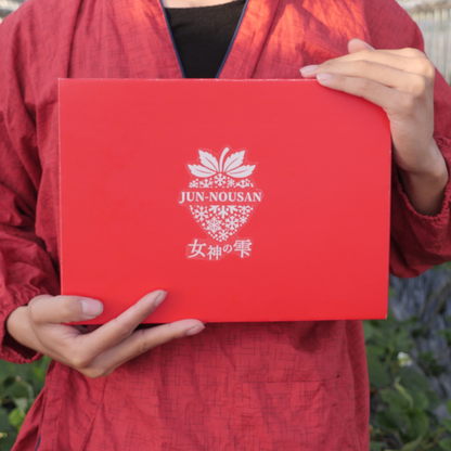 女神の雫-レギュラー-