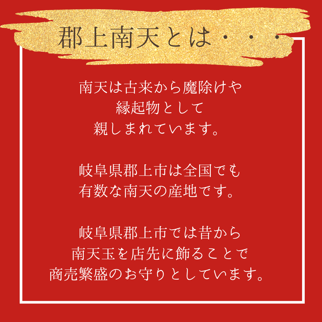 本物の郡上南天を閉じ込めたピアスC