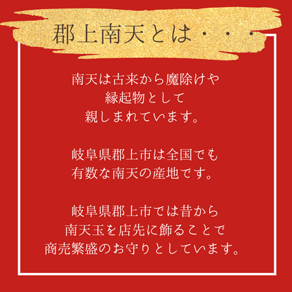 本物の郡上南天を閉じ込めたピアスC
