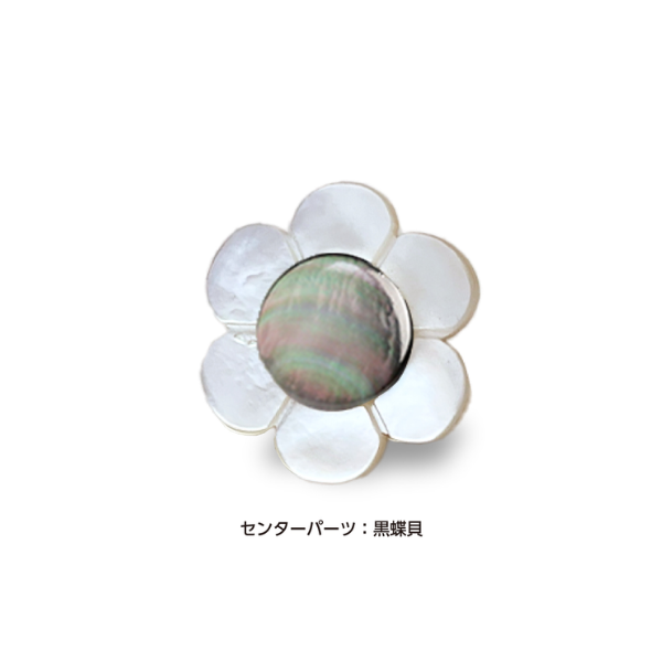 白蝶貝ブートニエール