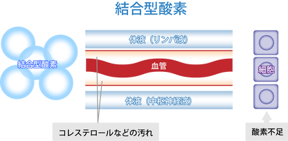 【受注生産】高気圧酸素BOX OXYROOM(1.35気圧)