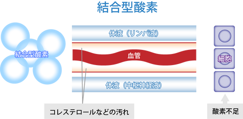 【受注生産】高気圧酸素BOX OXYROOM(1.35気圧)