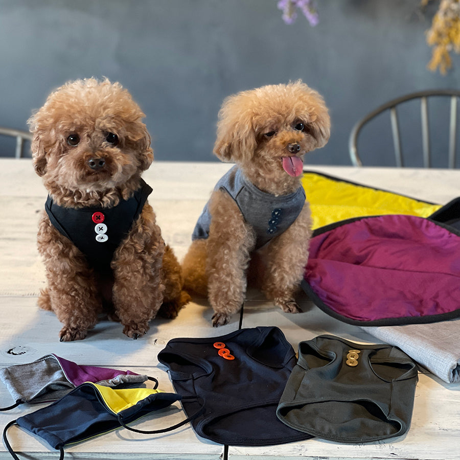 肌と地球に優しい「ペットウエア」