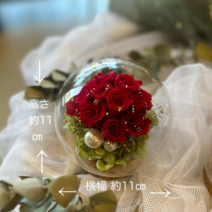 ジュエル・ローズドーム –12の愛を閉じ込めて–